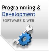 Programming and Development Service